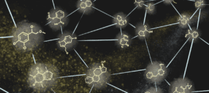 Molecular self assembly